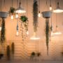 Suspended Ceilings and the Green Office Revolution